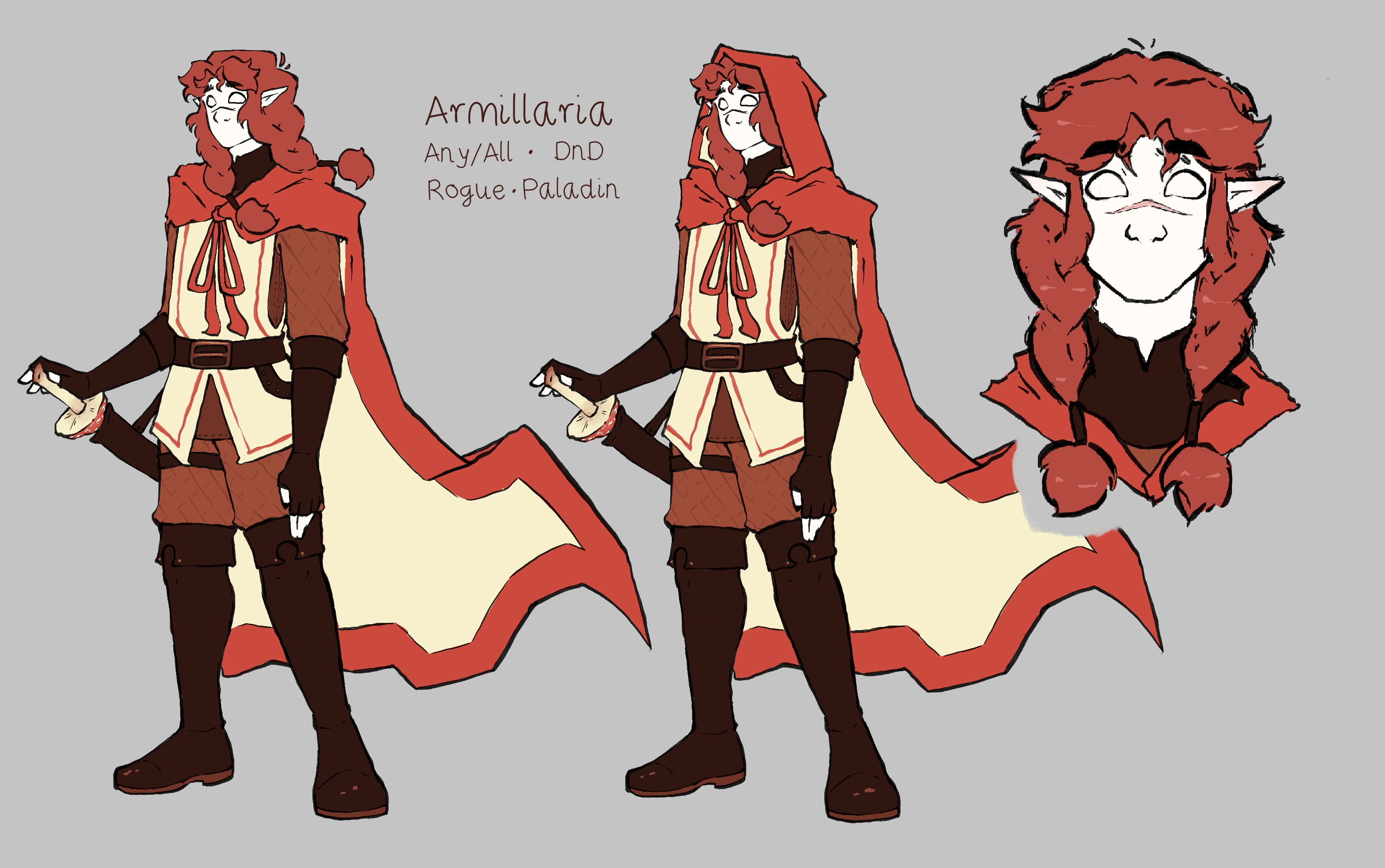 a character reference sheet for a dnd character.
